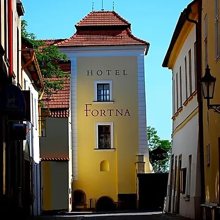 Hotel Fortna