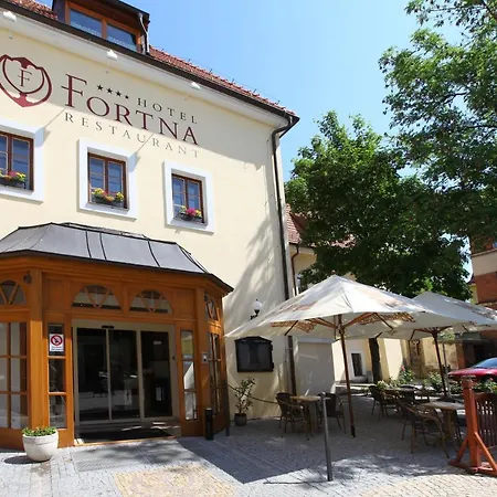 Fortna 4*